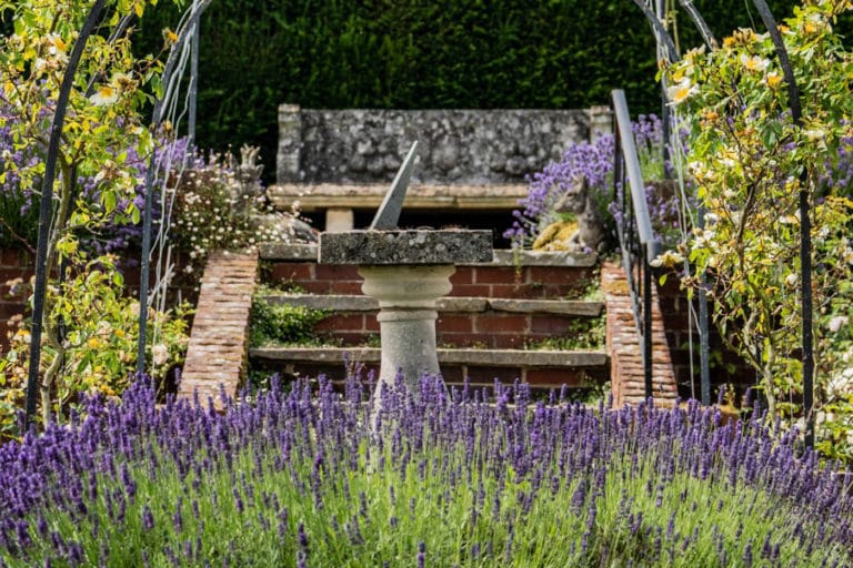 Lavender Garden at Birtley House